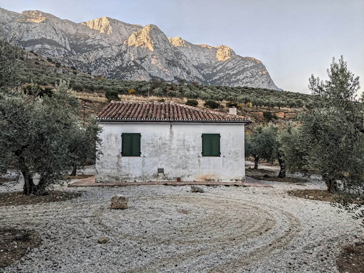 Fachada encalada del cortijo entre olivos, al pie de la sierra con la luz del atardecer